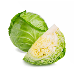 Organic Cabbage thumbnail 2