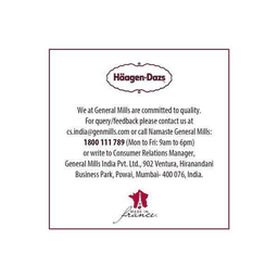 Haagen Dazs Ice Cream Belgian Chocolate thumbnail 6