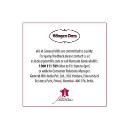 Haagen-Dazs Belgian Chocolate Ice Cream thumbnail 6