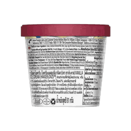 Haagen Dazs Vanilla Ice Cream thumbnail 2