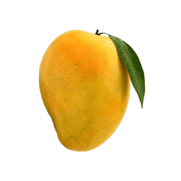 Alphonso Mango thumbnail 1
