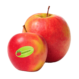 Rockit Apple thumbnail 1