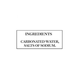Schweppes Soda Water Can thumbnail 4