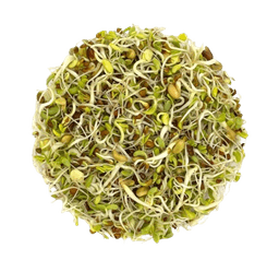 Organic Sprouts thumbnail 1