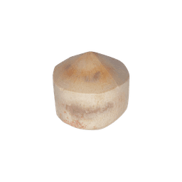 Imported Thai Coconut thumbnail 1