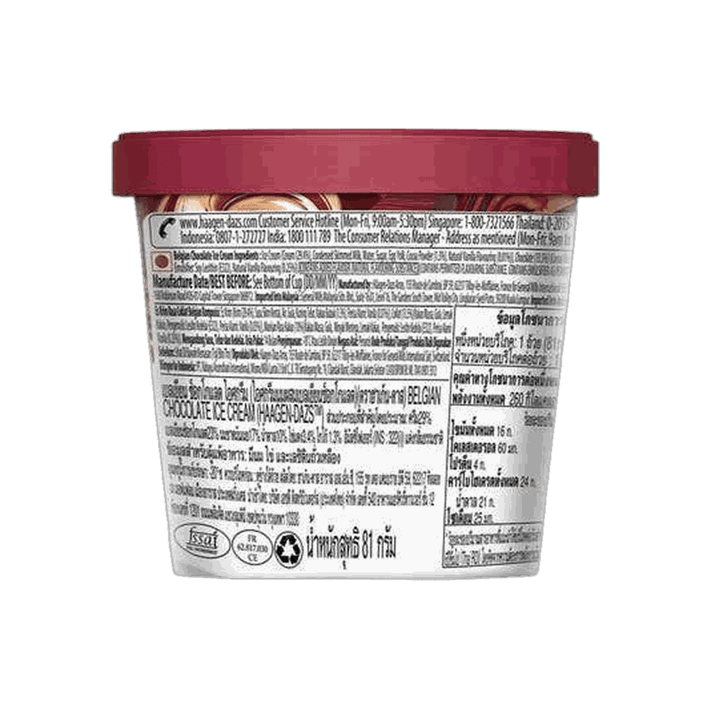 Haagen Dazs Ice Cream Belgian Chocolate 2