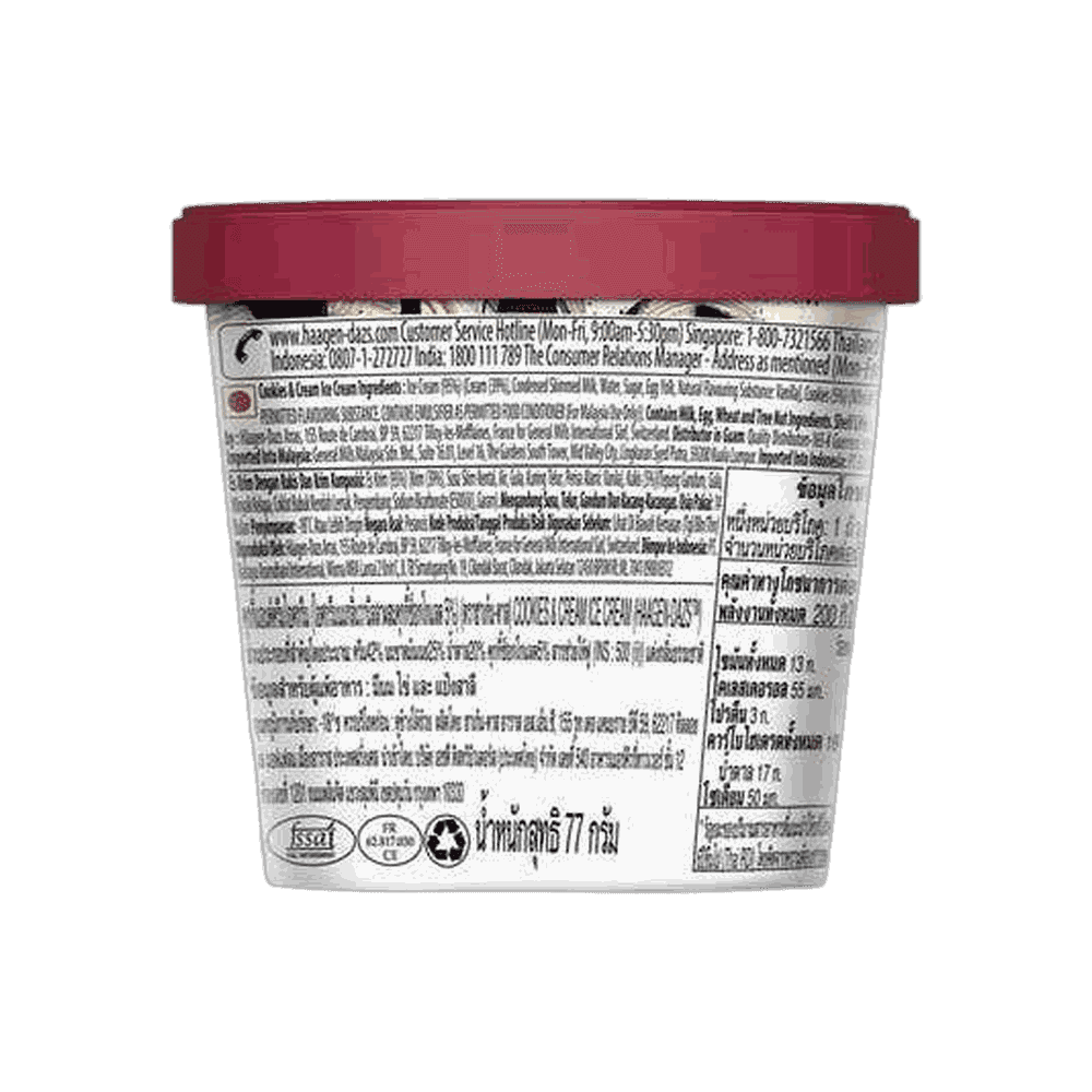 Haagen Dazs Cookies & Cream Ice Cream 2