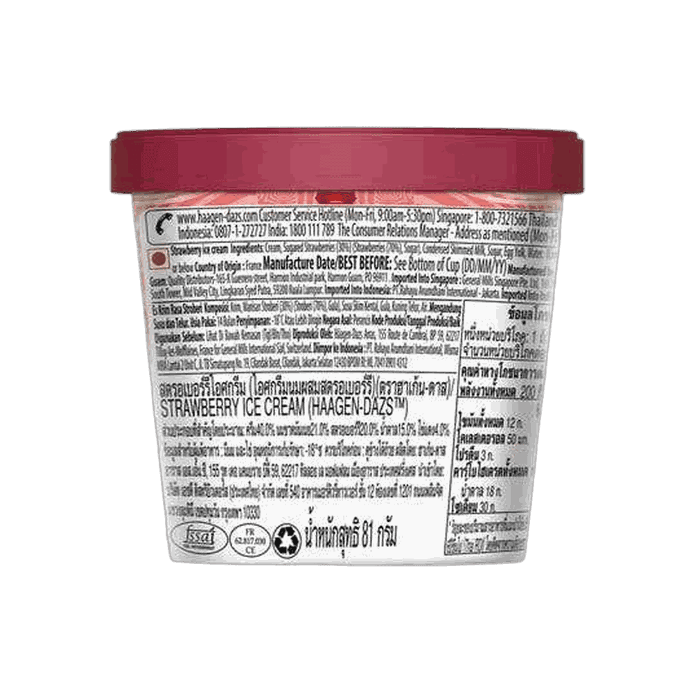 Haagen-Dazs Strawberry Ice Cream 2