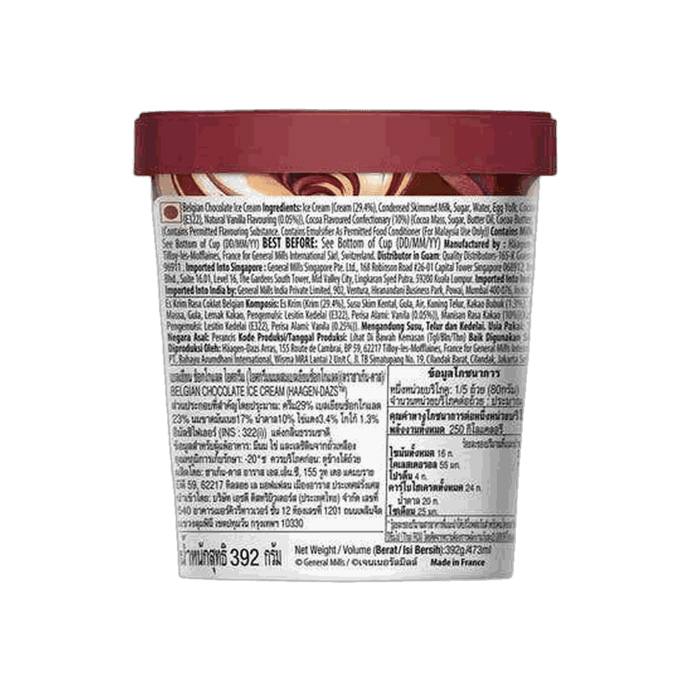 Haagen-Dazs Belgian Chocolate Ice Cream 2