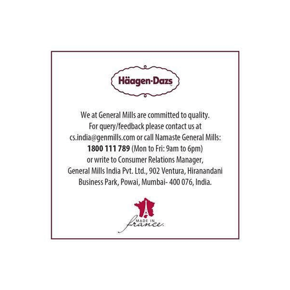 Haagen-Dazs Belgian Chocolate Ice Cream 6