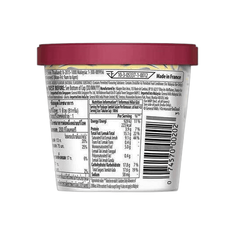 Haagen Dazs Vanilla Ice Cream 3