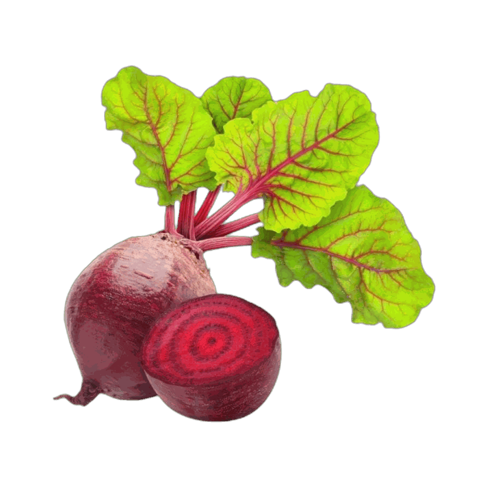 Beet Root - Chukandar 1