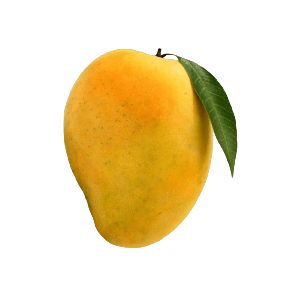 Alphonso Mango 1