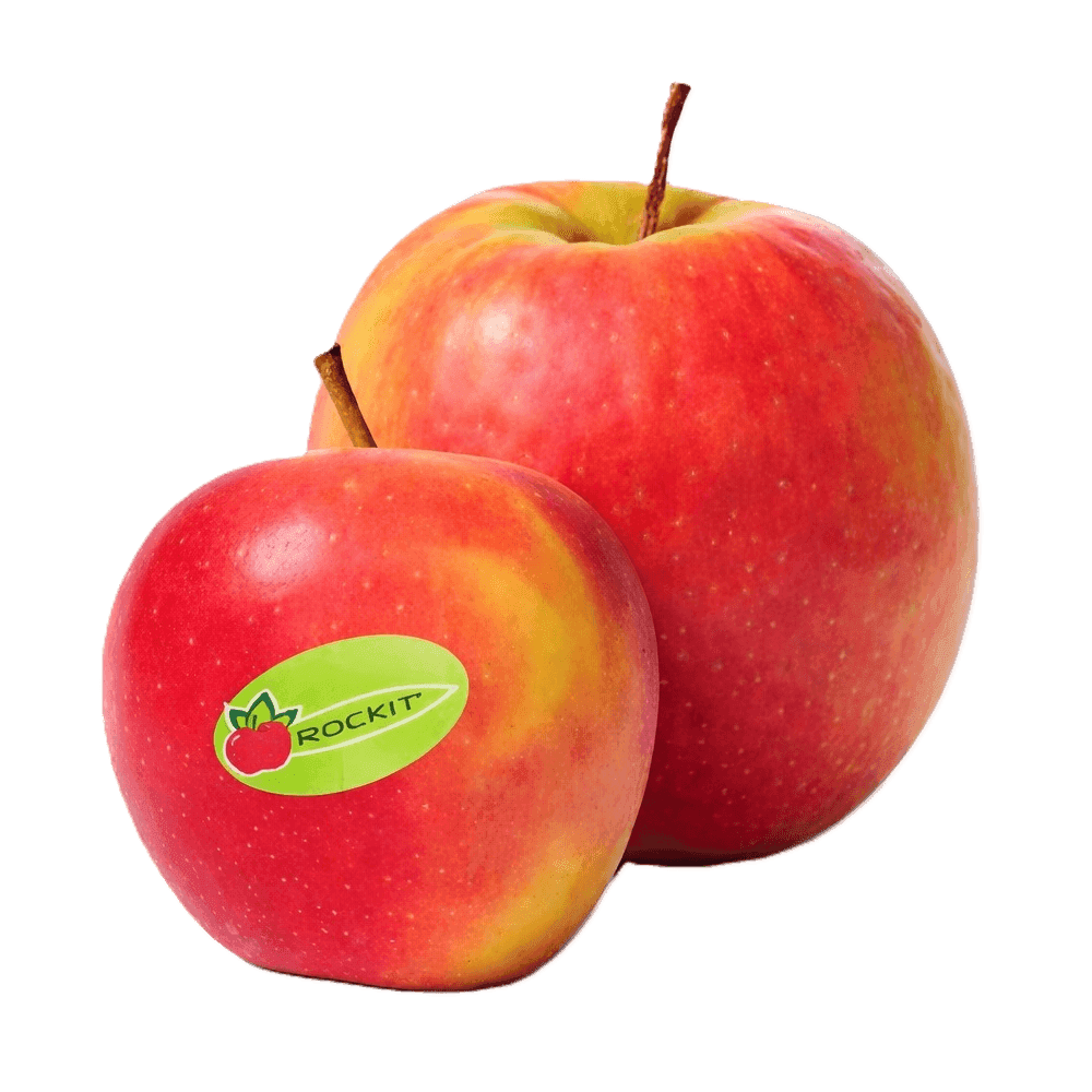 Rockit Apple 1