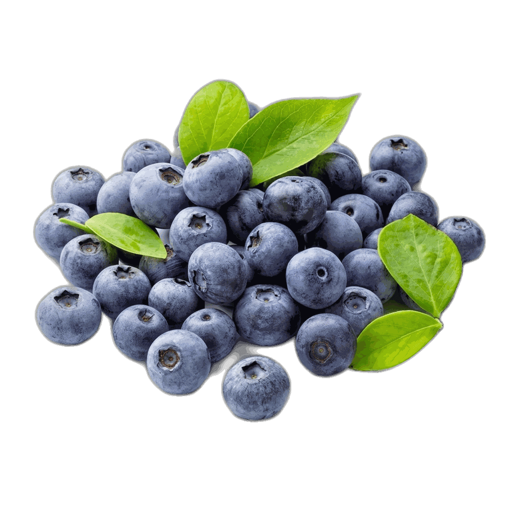 Blueberries Imported 1