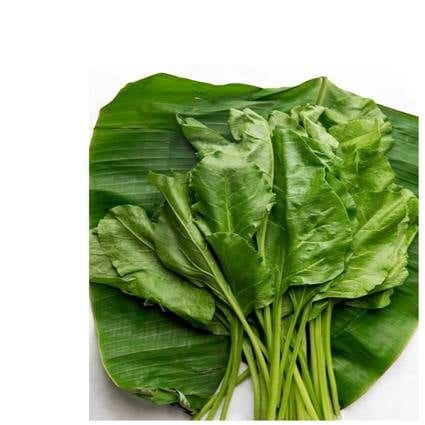 Cleaned Desi Spinach 2