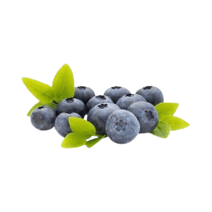 Blueberries Imported Combo 125 g 1