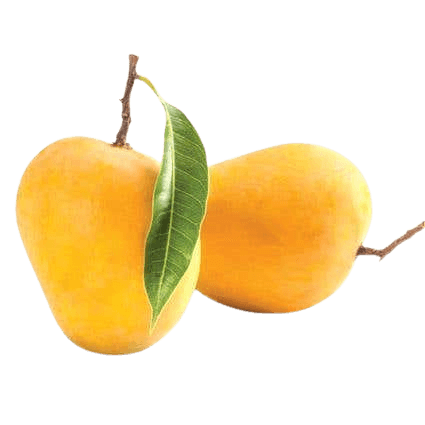 Maharashtrian Mango 12 pcs 1