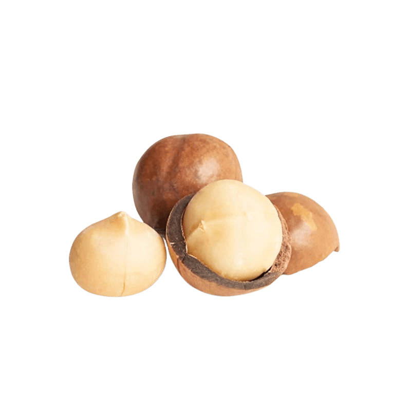 Nut Bar Macadamia Nuts 1