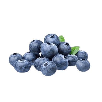 Imported Blueberries 1