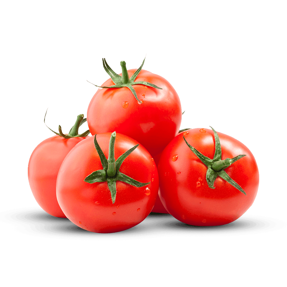 Tomato 1