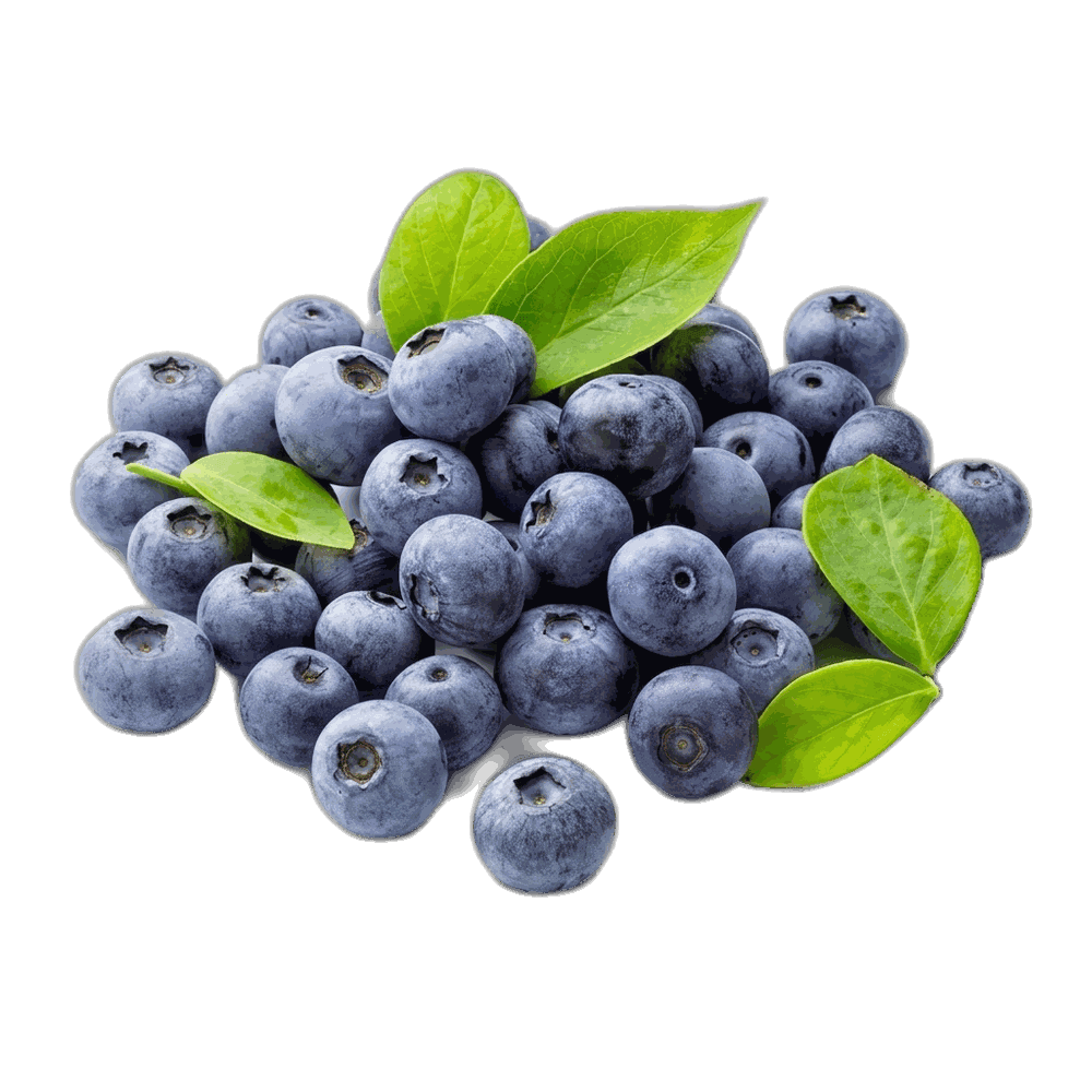 Blueberries Imported