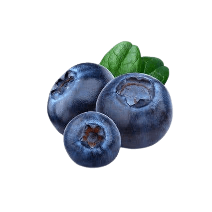Blueberries Imported